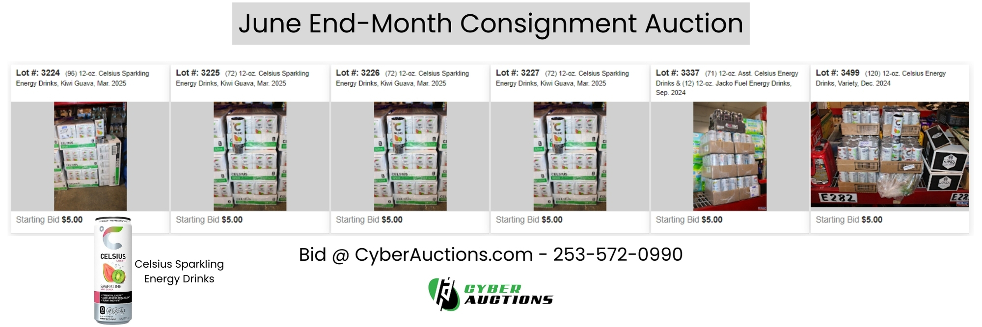June End Month Consignment Auction (4)